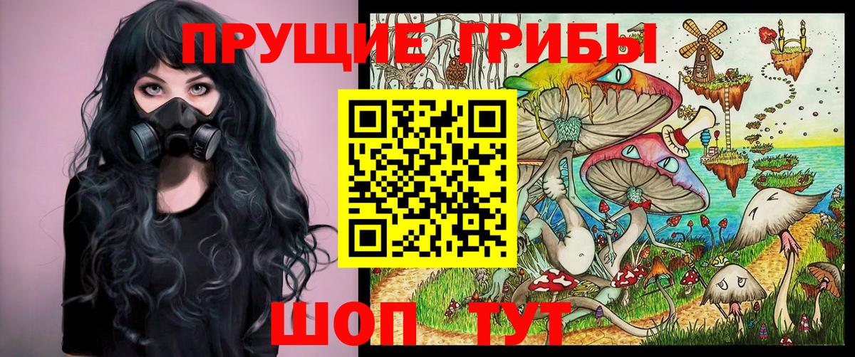 Псилоцибиновые грибы ЛСД  Вход с VPN  Псилоцибиновые грибы Psilocybe  Киреевск 